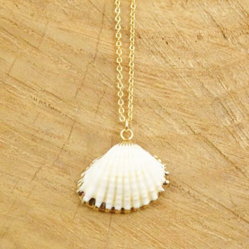 Ketting met schelpje goud