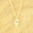 Ketting met cactus goud