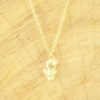 Ketting met cactus goud