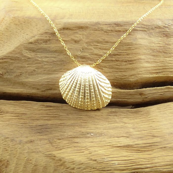Ketting kokkel schelp goud
