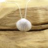 Ketting kokkel schelp zilver