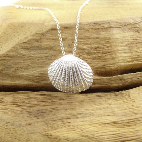 Ketting kokkel schelp zilver