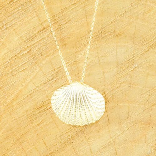 Ketting kokkel schelp goud