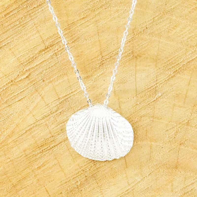 Willen boekje Permanent Ketting kokkel schelp zilver - silver shell necklace - kettinkje met  schelpje