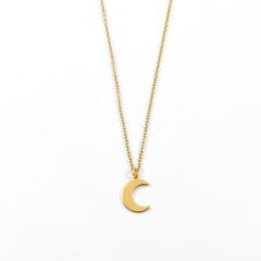 Ketting met maan goud stainless steel