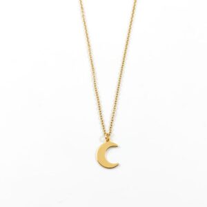 Ketting met maan goud stainless steel