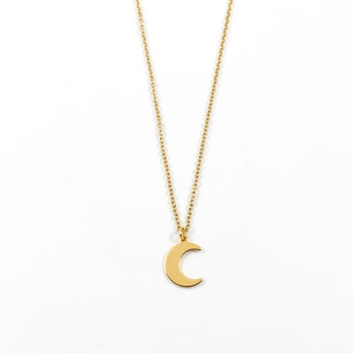 Ketting met maan goud stainless steel