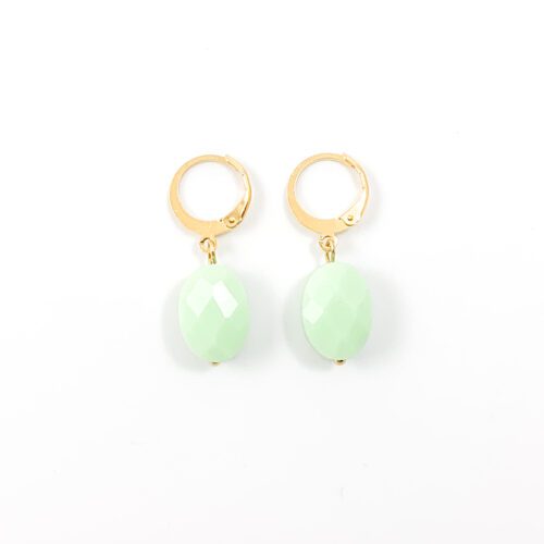 Oorbellen 'minty stone' goud rvs