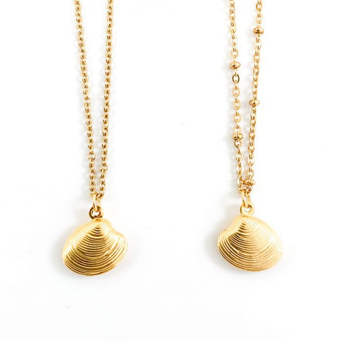 Ketting met schelpje goud stainless steel